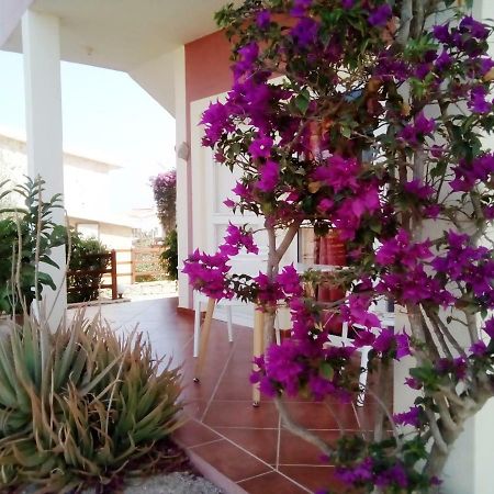 Maio Vacanze Cidade do Maio 외부 사진