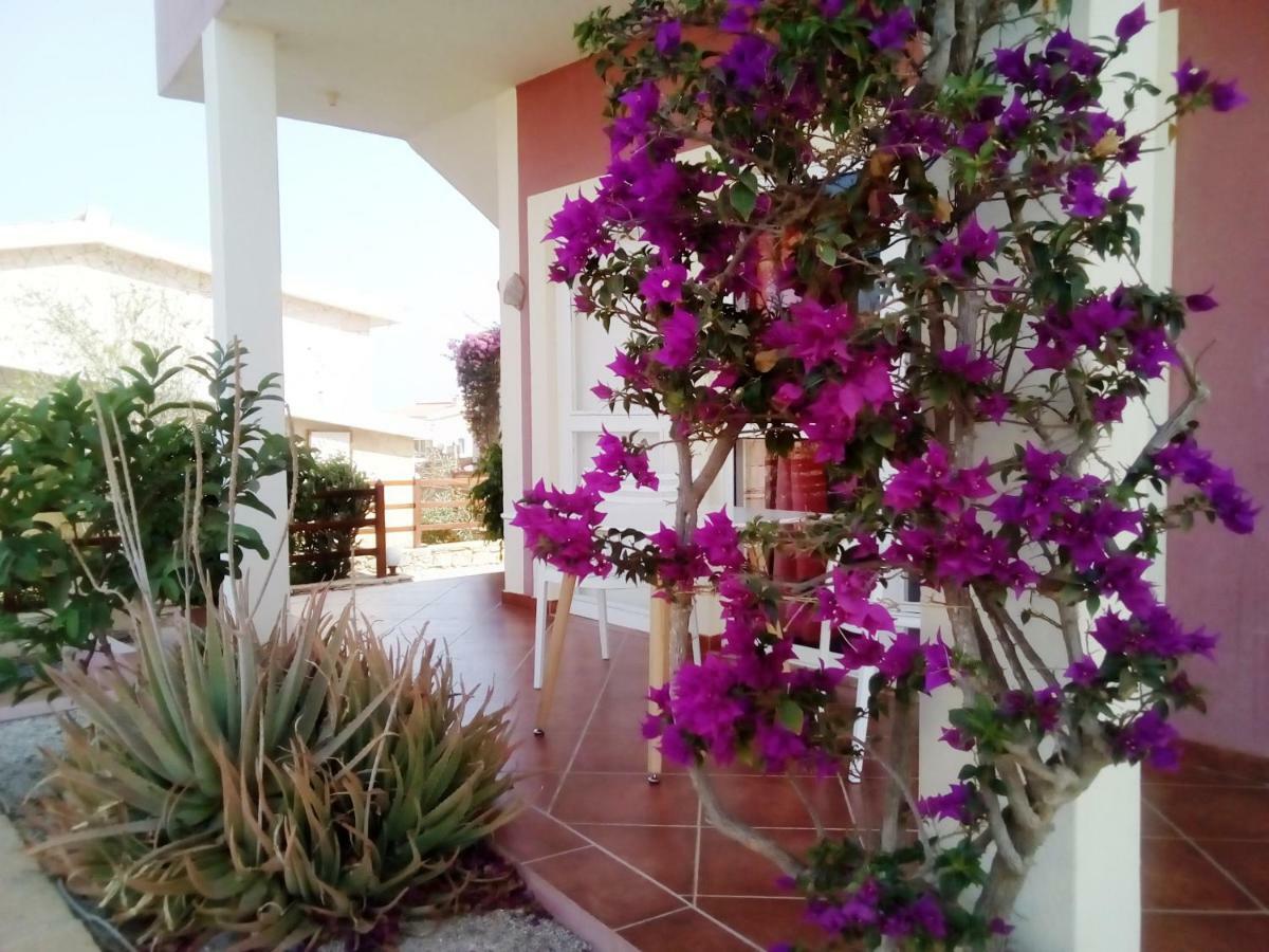 Maio Vacanze Cidade do Maio 외부 사진