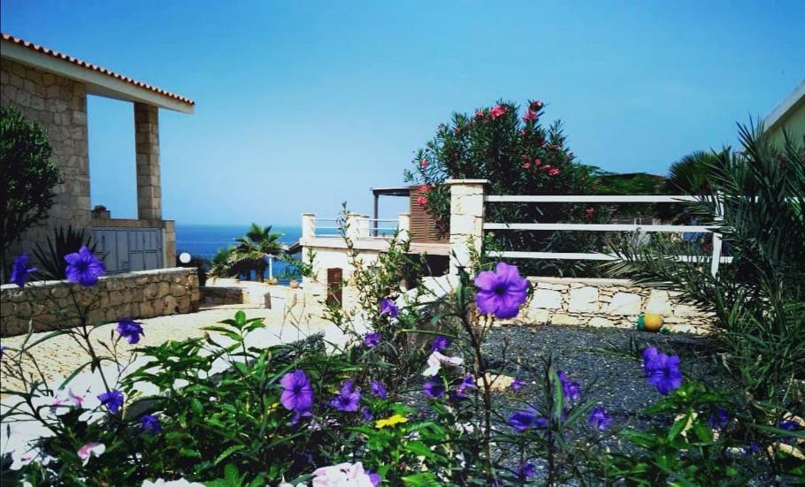 Maio Vacanze Cidade do Maio 외부 사진